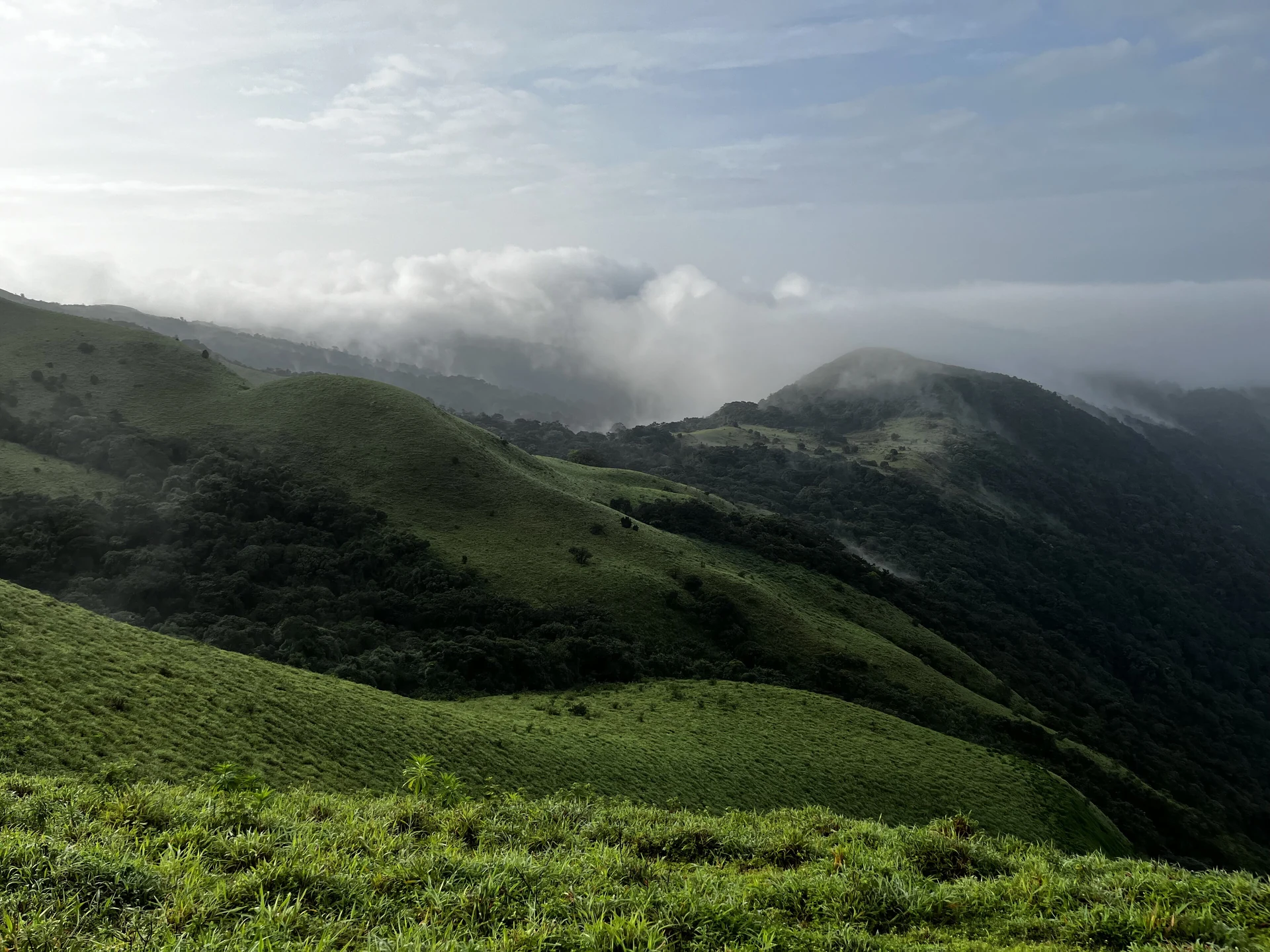 Misty green ridges at Mandalpatti Peak near Madikeri