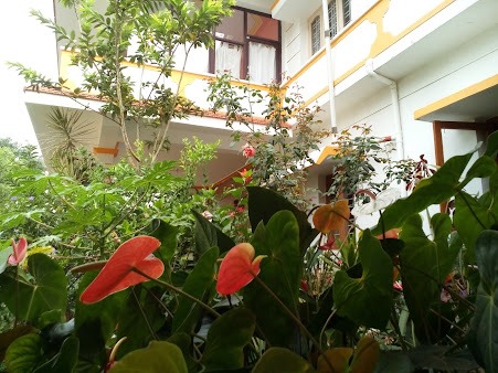 Garden courtyard at Saboath Homestay